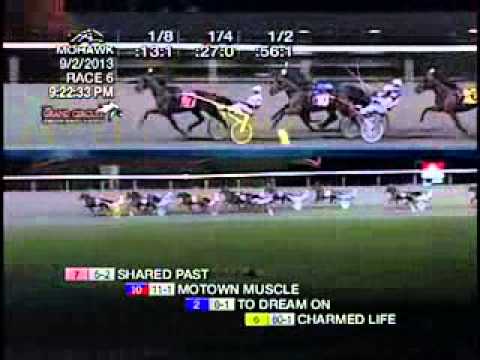 Simcoe Stakes Filly 2013 -Bee A Magician