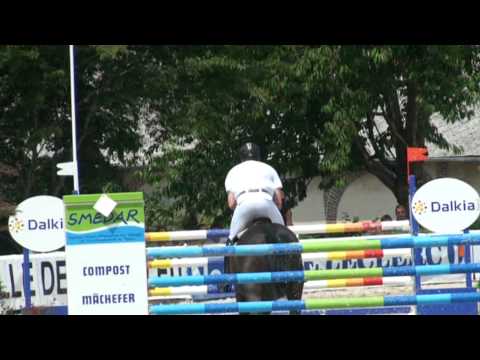 Diamonds Billy (webstallions.com)