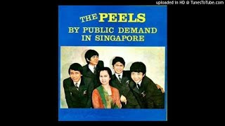 Download lagu The Peels - Bung Dimana mp3 Download lagu The Peels - Bung Dimana mp3