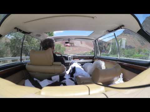 An epic drive through Oregon with my BMW 3.0cs e9 and my poodle