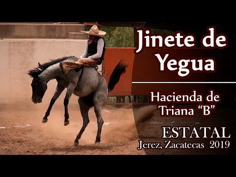JINETE DE YEGUA Hacienda de Triana B - Estatal Jerez, Zac 2019