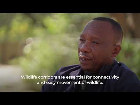 Protecting Namibia’s wildlife corridors and strengthening communal conservancies
