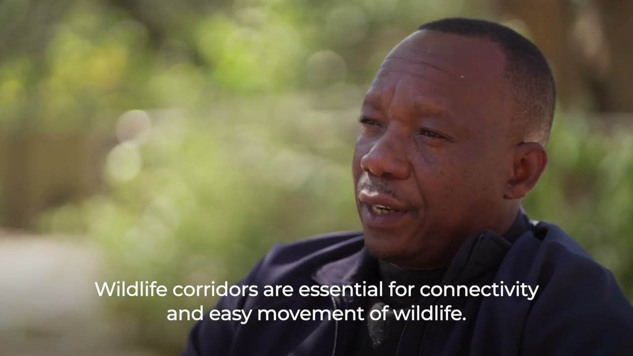 Protecting wildlife corridors and strengthening communal conservancies - #swmprogramme