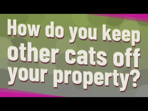 How do you keep other cats off your property?