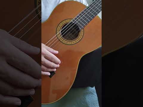 Takamine No 30 Handcrafted Concert Classical Guitar Japan 1982 (Excellent) image 11