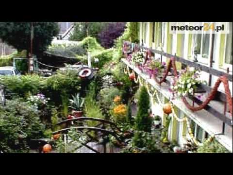 Willa Głan - Łeba meteor24.pl