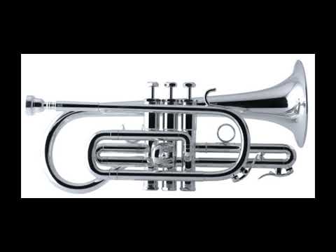 Fantasie Brilliante / Jean B. Arban