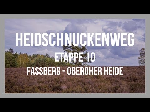 Heidschnuckenweg | Etappe 10 - Fassberg - Oberoher Heide | Lüneburger Heide | GPS-Track