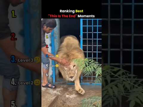 Ranking Best 
