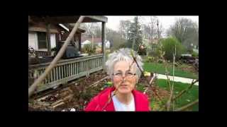 Flowering Trees - Wisconsin Garden Video Blog 251.avi