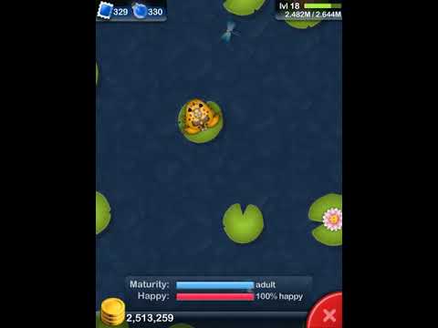 Pocket frogs random gameplay - YouTube