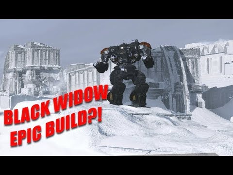 MechWarrior Online Best Black Widow Build?