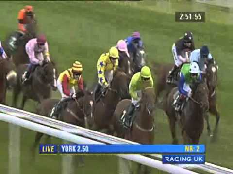York 2010 - Irish Thoroughbred Marketing Gimcrack Stakes