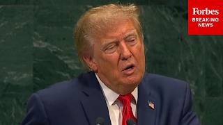 Trump addresses UN General Assembly on global security strategy