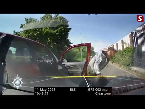 Moment car thief who led police on 100mph pursuit hides from police dogs in a bush