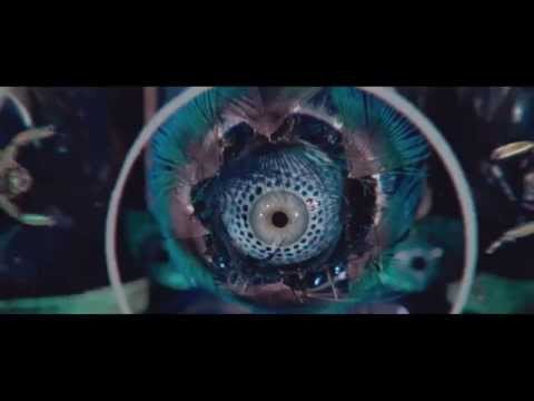 Zetenwupe x Zioło x Dżejpa - Knury Kręcą Korbę (prod. Opiat)