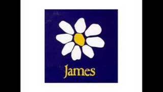 James - Government Walls