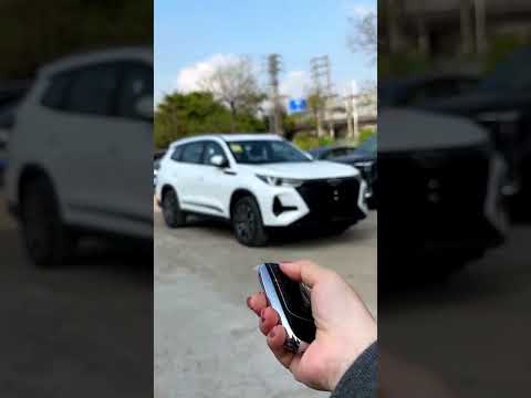 All New 2024 Chery Tiggo8 Pro Champion Edition - Exterior And Interior