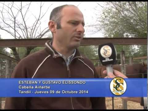 Nota Esteban y Gustavo Elissondo -  Cabaña Aiñarbe - Tandil - 09/10/2014
