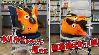 オープニング/ホントに有隣堂の人…? - 【一生モノ】オフィスチェアの世界~有隣堂しか知らない世界147~