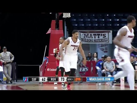Highlights: Jarnell Stokes (11 points)  vs. the Vipers, 12/14/2015