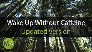Wake Up Without Caffeine Binaural Beats Energy Booster - Forest Sounds (no bees)