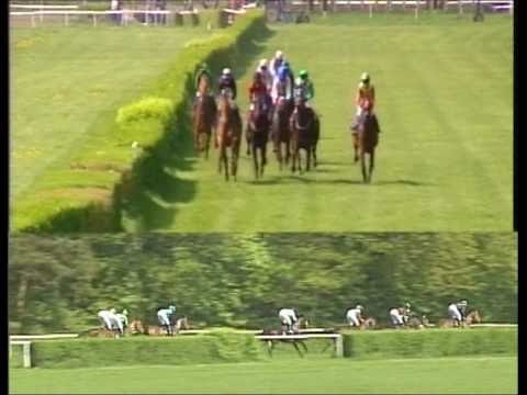 Galopprennbahn Dresden 23.04.2011   1. Rennen