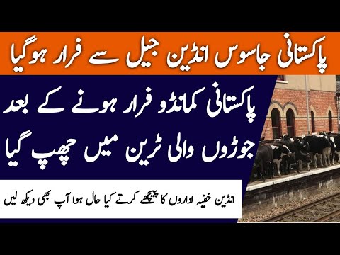 MISSION KASHMIR 1.0 | Ep51 | Pakistani Jasoos Indian Jail Se Farar | Roxen Original