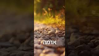 בין הרוח לעלים של שיאון יפת הברקה משולבת של כתיבה אמן וביצוע תהנו 🎼 #music #worldmusic  #song (הזמר והיוצר שיאון יפת) - התמונה מוצגת ישירות מתוך אתר האינטרנט יוטיוב. זכויות היוצרים בתמונה שייכות ליוצרה. קישור קרדיט למקור התוכן נמצא בתוך דף הסרטון