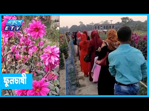 ফুল চাষীদের ব্যস্ততা