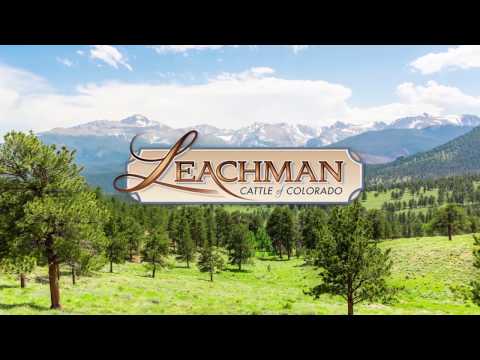 How to Build a Profitable Herd 2017