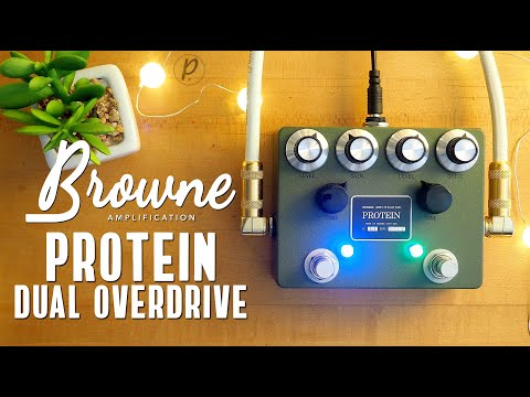 Browne Amplification Protein Dual Overdrive V3 2022 - 2024 - Various Bild 4