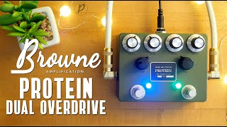 Video thumbnail for Browne Amplification Protein Dual Overdrive by Pedal of the Day