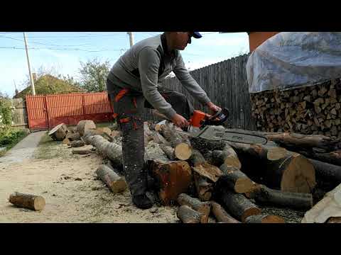 Ms 361 - 4.6 cp / 5.6 kg 💪