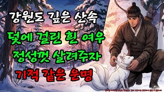 Download lagu 눈 덮인 산에서 만삭의 구미호를 살려주자 시작된 기이한 운명 |야담 |옛날이야기 |민담 |전설 | 설화 mp3