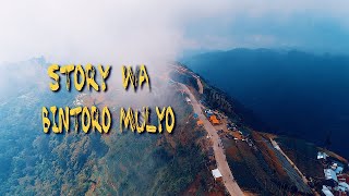 Download lagu 🔴 Story Wa Jalan Bawang Dieng II Story Wa Bintoro Mulyo Terbaru 2020 Keren mp3