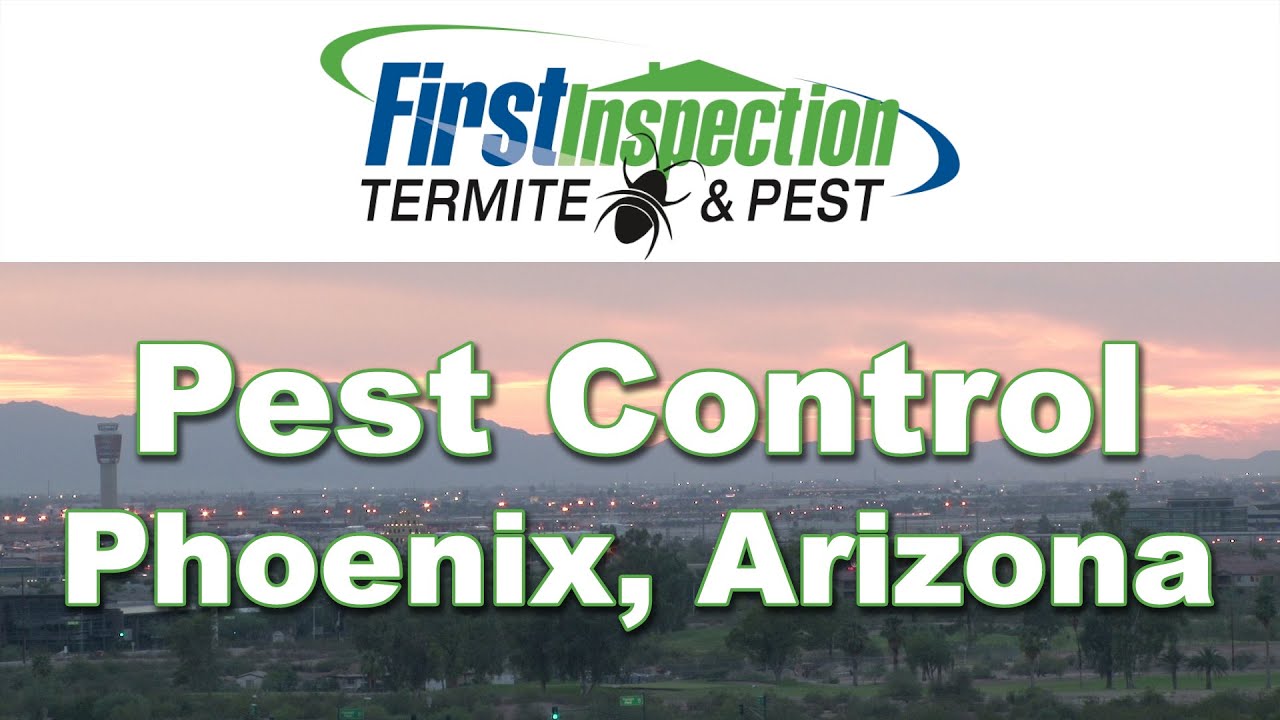Pest Control Phoenix - (602) 705-0655 - Termites