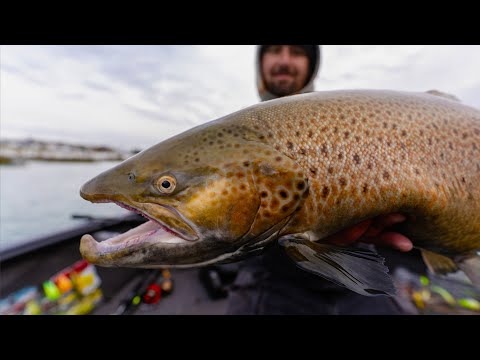 Fishing for World-Class Trout on Lake Michigan (Wisconsin Harbors)