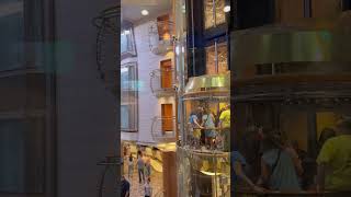 My first view inside the Mariner of the Sea! Royal Caribbean #cruise #travel #usa #shortsvideo