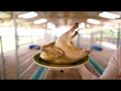 Product - KKU1 Premium Chicken