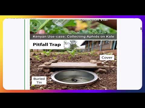 Africana Academy demo video showing offline CBC learning platform