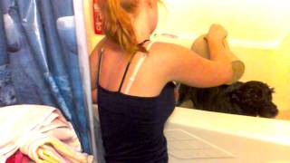 How To Bathe Your Dog