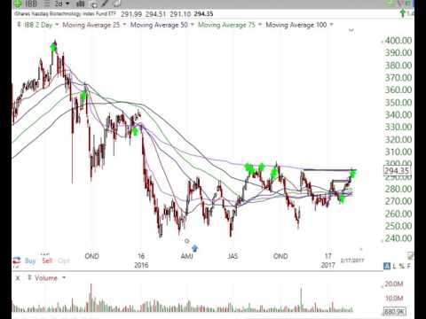 End of Week Stock Market Analysis Feb 17 20171