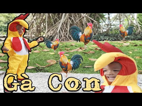 Gà con - Bé Hồng Ân