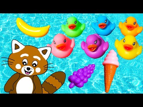 Pukkins leker i poolen - lek och lär dig färger - Lek med oss barnkanalen