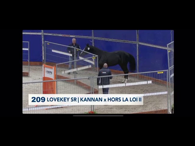 Half-sister KWPN approved stallion Le Kannan