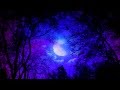 James Blunt Miss America Lyrics HQ HD