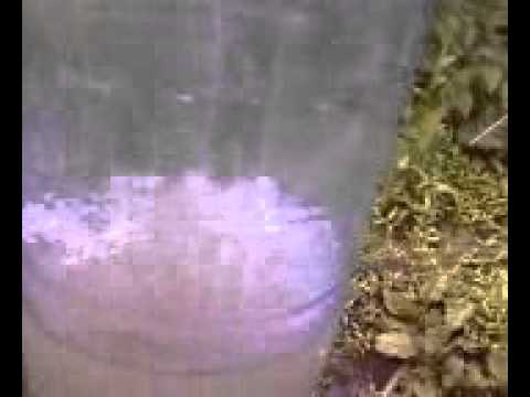 saliste, com malaia, jud valcea