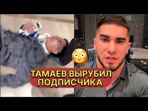 Тамаев жёстко избил подписчика 😳 ВЫРУБИЛ!