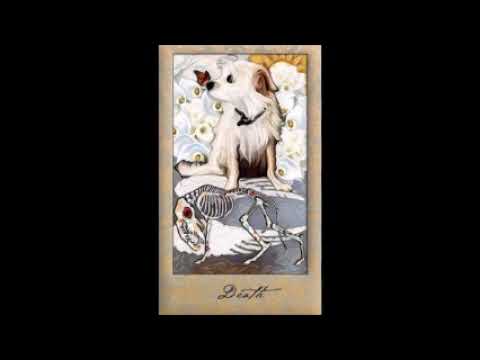 September 17, 2019 - Tarot Card of the Day